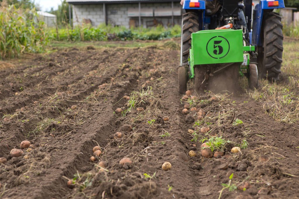 Tehnologia alimentară